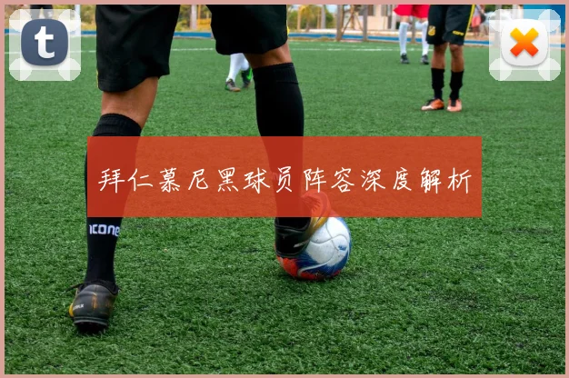 拜仁慕尼黑球员阵容深度解析